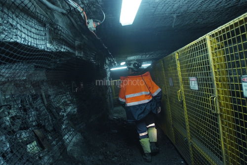 Underground coal mine worker walking next to wire mesh supports and cage  - Mining Photo Stock Library