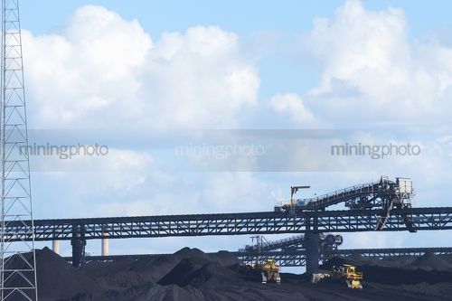 Two dozers stock piling coal at wharf terminal.  overhead conveyor and reclaimer in background.  sea water in foreground. - Mining Photo Stock Library