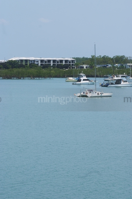 Vertical image of boats in harbour or a bay with mangroves and development behind.  vertical photo. - Mining Photo Stock Library