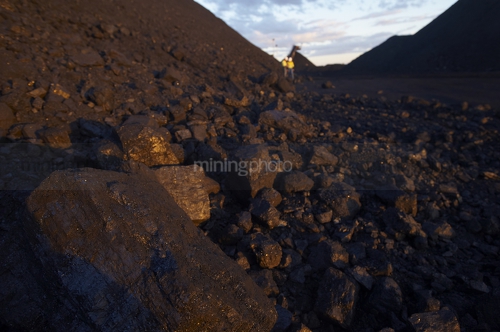 Close up photo of coal with mine workers male and female in full PPE in background out of focus.  shot at dusk with great afternoon light.  vertical photo. - Mining Photo Stock Library