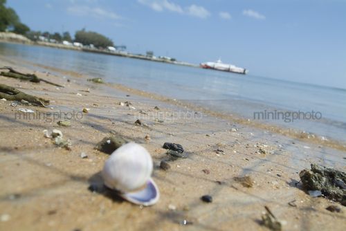 Shells on a beach close up with car ferry loading in background.   - Mining Photo Stock Library