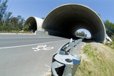 Mining Photo Stock Library - shot of bebo archway bridge showing koala crossing and bikeway  ( Weight: 2  New Image: NO)
