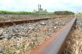 Mining Photo Stock Library - industry rail track shot at ground level with sugar cane mill in background. ( Weight: 1  New Image: NO)