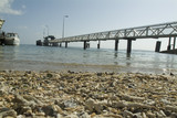 Mining Photo Stock Library - pedestrian jetty out to passenger ferry terminal over ocean.  shot from water level with shells on the beach in the foreground. ( Weight: 2  New Image: NO)
