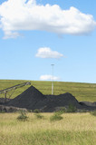Mining Photo Stock Library - loader stockpiling coal in teh background out of focus.  revegetation in focus in the foreground.  generic and selective focus shot. ( Weight: 1  New Image: NO)