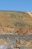Mining Photo Stock Library - hillside replanting at a mine site  green plastic plant protectors show where the revegetation and rehab is been done. ( Weight: 1  New Image: NO)