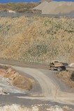 Mining Photo Stock Library - haul truck on access road passing by rehab and revegation planting work. ( Weight: 1  New Image: NO)