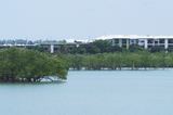 Mining Photo Stock Library - residential development built amongst mangroves. photo taken from the water at high tide with mangroves in foreground ( Weight: 1  New Image: NO)