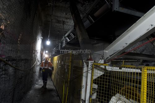Underground coal mine worker walking next to moving conveyor structure. - Mining Photo Stock Library