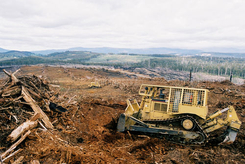 Large forest ready bulldozers working together to clear land. - Mining Photo Stock Library
