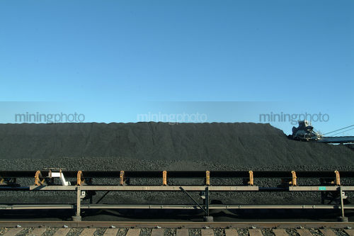 Moving coal conveyor with stockpiled coal and reclaimer in the background. - Mining Photo Stock Library