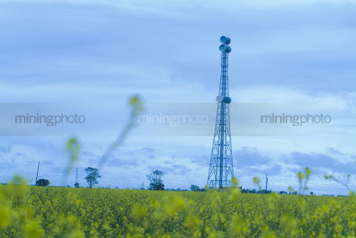 TV receiver tower in a field.
generic shot. - Mining Photo Stock Library