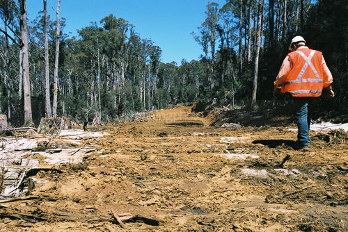 Forestry worker inspecting formed road. - Mining Photo Stock Library