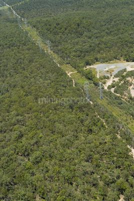 Overhead power lines running through cleared forested corridor - Mining Photo Stock Library