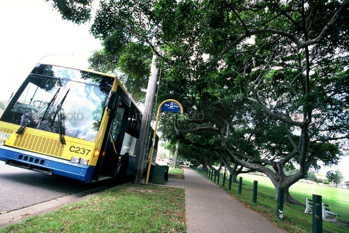 Generic shot of a council bus in leafy street at a bus stop. footpath and park adjacent. - Mining Photo Stock Library