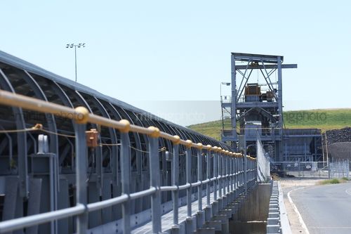 Looking along coal conveyor to coal hopper.  green rehabilition in background. - Mining Photo Stock Library