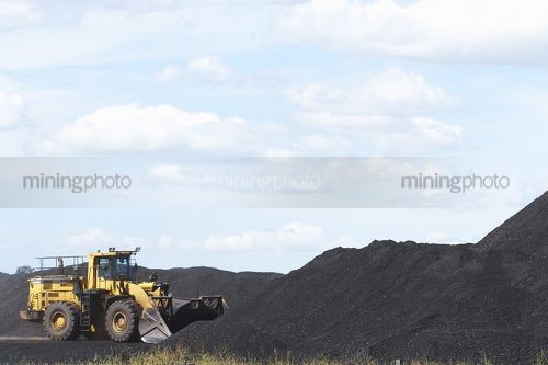 Wheeled loader stockpiling coal at rail terminal. - Mining Photo Stock Library