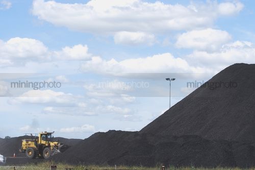 Wheeled loader stockpiling coal at rail terminal - Mining Photo Stock Library