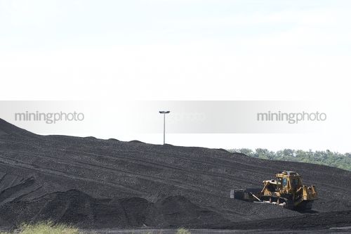 Bulldozer stockpiling coal. - Mining Photo Stock Library