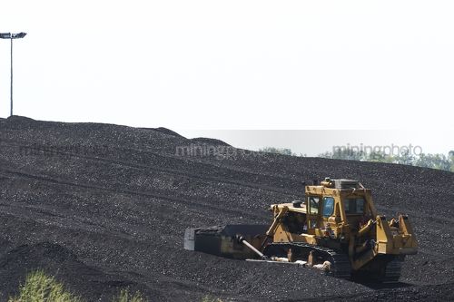 Close up of bulldozer stockpiling coal. - Mining Photo Stock Library