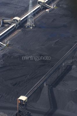 Close up aerial photo of tractors stockpiling coal at shipping terminal.  conveyor working above to spread coal.  vertical image. - Mining Photo Stock Library