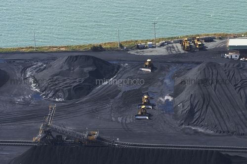 Coal dozers with wide blades next to stockpiled coal at shipping terminal.  coal spreader on conveyor nearby. - Mining Photo Stock Library