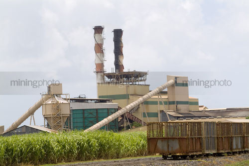 Sugar cane mill with light rail cane track and carriages in foreground. green mature sugar cane plantation also adjacent.  - Mining Photo Stock Library