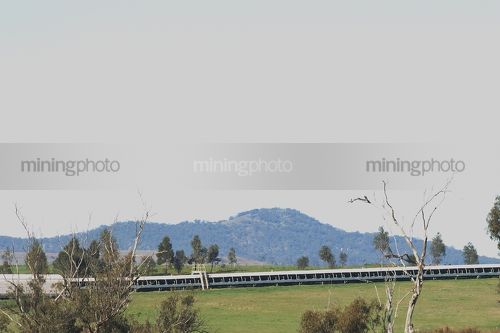 Covered over land coal conveyor in grassy mine rehabilitation.   walkway over conveyor to one side. - Mining Photo Stock Library