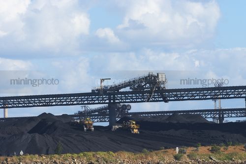 Two dozers stock piling coal at wharf terminal.  overhead conveyor and reclaimer in background.  sea water in foreground. - Mining Photo Stock Library