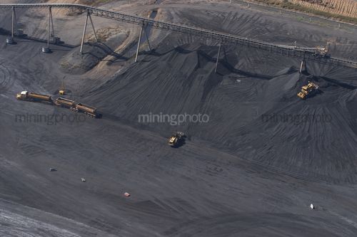 Loader loading coal from stockpile into truck road trains for transport to rail yards.  dozer stocpiling coal in the background.  overhead conveyor adjacent.
 - Mining Photo Stock Library