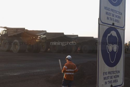 Mine truck driver in full PPE walking towards the truck line up at the begining of the morning shift. Blue head and eye protection safety signs in focus in the foreground.   - Mining Photo Stock Library
