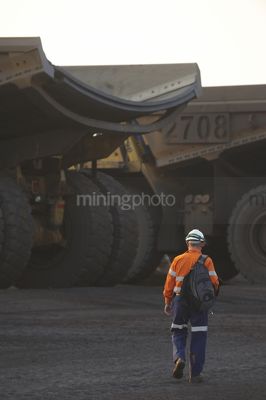 Haul truck drivers with their backpacks walking at the begining of the shift to their trucks at the go line. - Mining Photo Stock Library