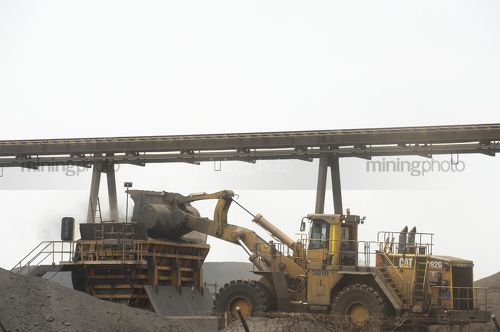 Loader loading product into a crusher at shipping terminal.  overhead conveyor in background. - Mining Photo Stock Library