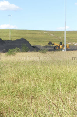 Loader stockpiling coal in teh background out of focus.  revegetation in focus in the foreground.  generic and selective focus shot. - Mining Photo Stock Library