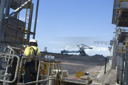 Mine worker wearing a safety harness on a ladder in a coal conveyor.  reclaimers in background. - Mining Photo Stock Library