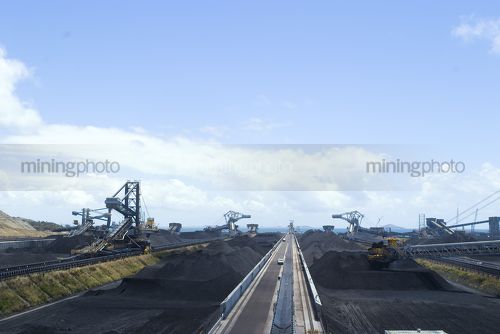 Wide shot at a coal terminal looking along a ship loader to coal stockpiles and reclaimers in the background. - Mining Photo Stock Library