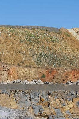 Hillside replanting at a mine site  green plastic plant protectors show where the revegetation and rehab is been done. - Mining Photo Stock Library