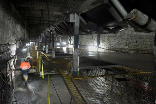 Underground coal mine worker engineer walking through tunnel with coal conveyors moving above.  qide photo. - Mining Photo Stock Library