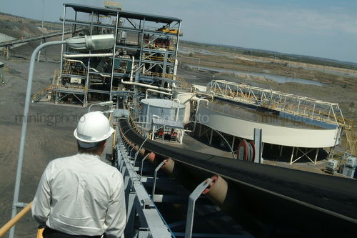 Project manager shot from behind on conveyor walkway above coal wash plant at power station - Mining Photo Stock Library