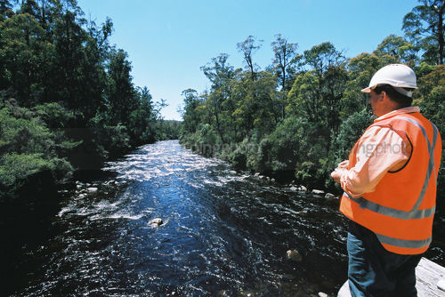 Forestry worker standing on bridge in pristine forest with clean fresh water flowing below. - Mining Photo Stock Library