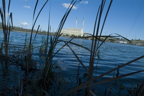 Looking through reeds and over water lake at power station - Mining Photo Stock Library