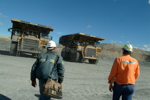 Two truck drivers walking to the go line to drive heavy haul trucks. shot from behind. - Mining Photo Stock Library