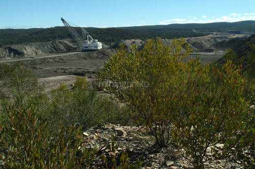 Drag line at open cut coal mine with green plants in foreground.  - Mining Photo Stock Library