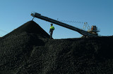 Mining Photo Stock Library - Silhouette of mine worker standing atop coal with conveyor loader stockpiling coal in background  ( Weight: 1  New Image: NO)