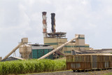 Mining Photo Stock Library - sugar cane mill with light rail cane track and carriages in foreground. green mature sugar cane plantation also adjacent.  ( Weight: 1  New Image: NO)