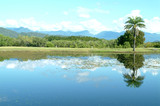 Mining Photo Stock Library - large clean man made tropical lake next to golf course with palm trees and mountains in background. ( Weight: 1  New Image: NO)