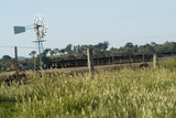 Mining Photo Stock Library - windmill and feedlot beef cattle inside fenced green grass paddock  ( Weight: 1  New Image: NO)