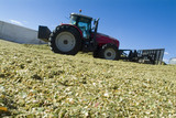 Mining Photo Stock Library - tractor aerating silage corn for storage. ( Weight: 2  New Image: NO)