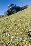 Mining Photo Stock Library - tractor aerating silage corn for storage. ( Weight: 2  New Image: NO)