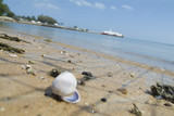 Mining Photo Stock Library - shells on a beach close up with car ferry loading in background.   ( Weight: 1  New Image: NO)